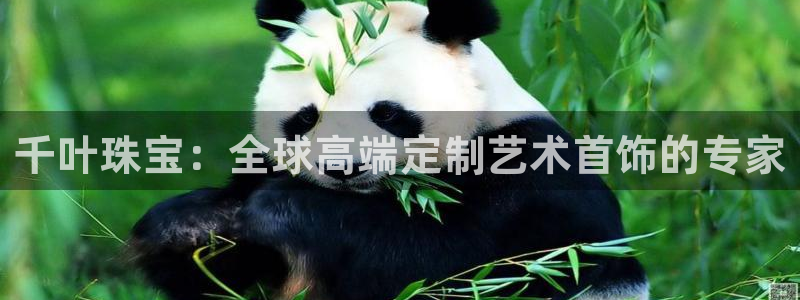 众腾娱乐代理怎么样