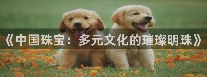 腾耀3娱乐众推8 28