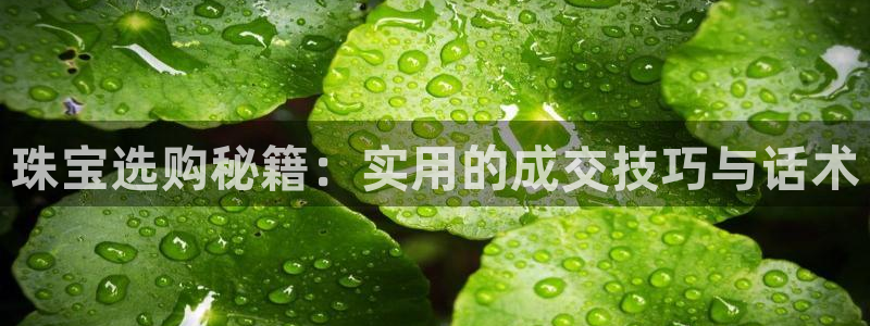 众腾娱乐文化怎么样