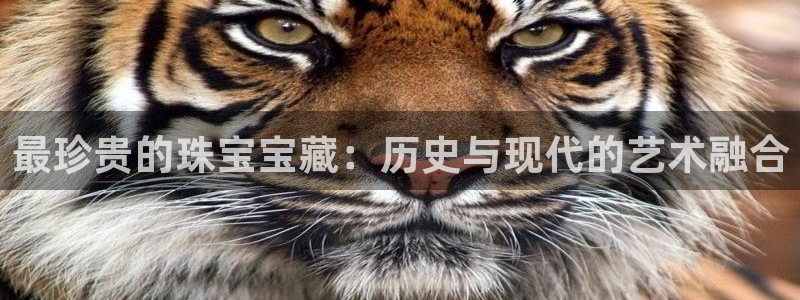 楚雄众腾娱乐是干什么的