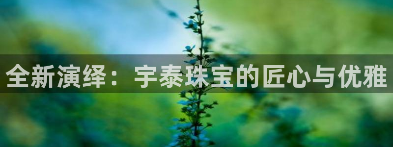 楚雄众腾娱乐在哪里