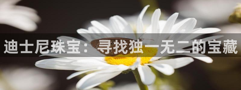 云南众腾娱乐