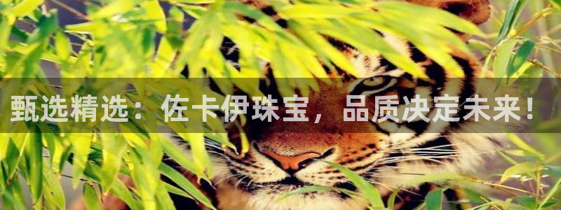 腾讯旗下的腾众娱乐