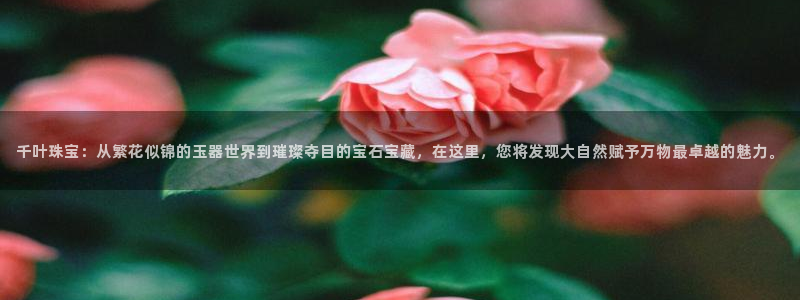 楚雄众腾娱乐是干什么的
