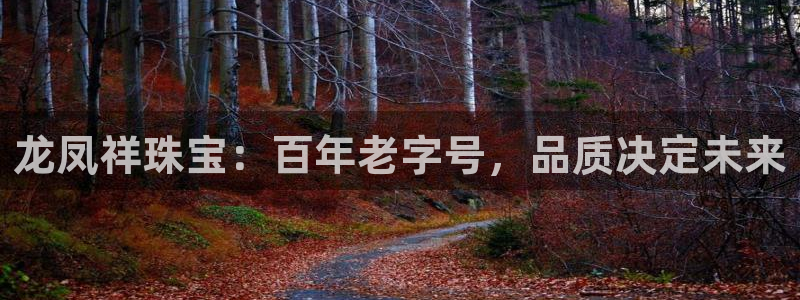 腾耀娱乐众推55312