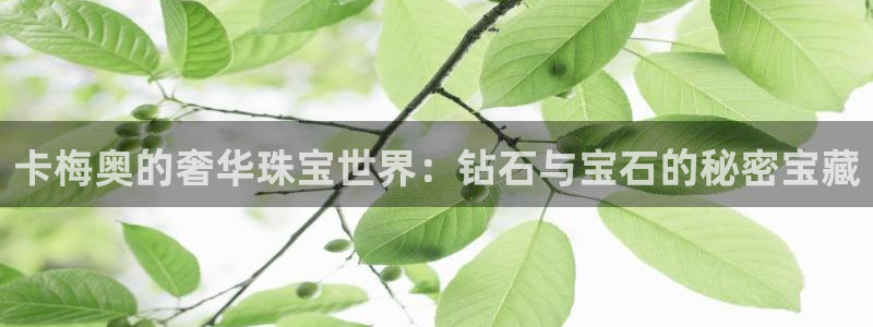 众腾娱乐招商：卡梅奥的奢华珠宝世界：钻石与宝石的秘密宝藏