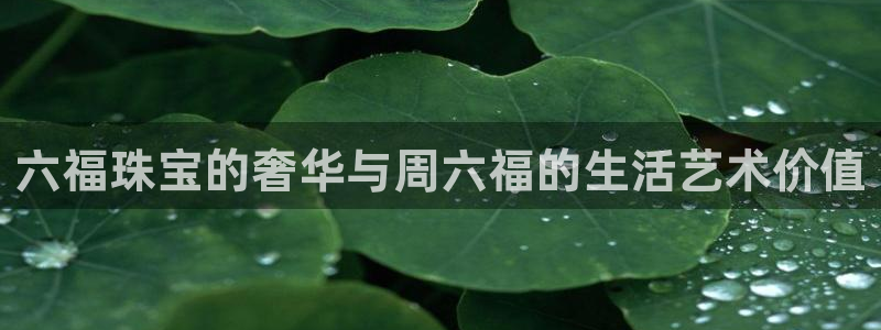 楚雄众腾娱乐是干什么的