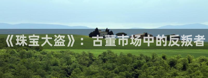 众腾娱乐官方客服电话：《珠宝大盗》：古董市场中的反叛者