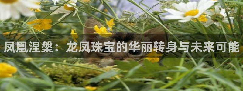 众腾娱乐app