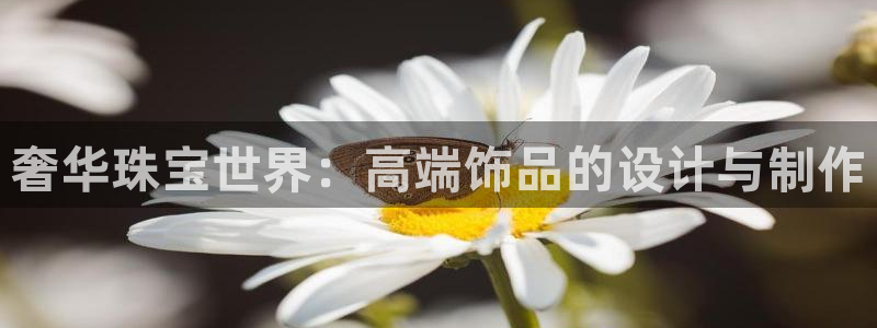 众腾娱乐文化怎么样