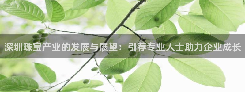 楚雄众腾娱乐：深圳珠宝产业的发展与展望：引荐专业人士助力企业