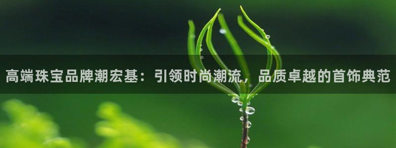 包头众腾娱乐：高端珠宝品牌潮宏基：引领时尚潮流，品质卓越的首