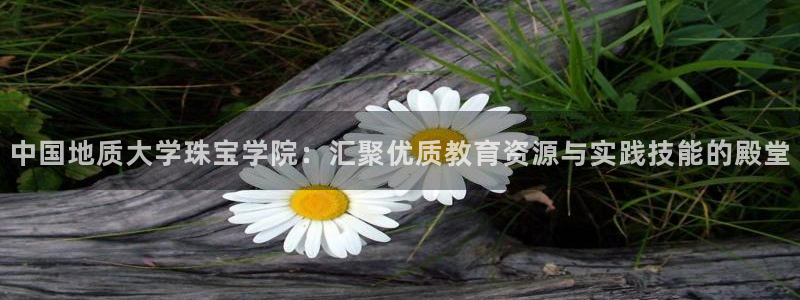 众腾娱乐注册：中国地质大学珠宝学院：汇聚优质教育资源与实践技