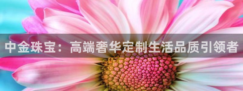 腾耀娱乐众推55312：中金珠宝：高端奢华定制生活品质引领者