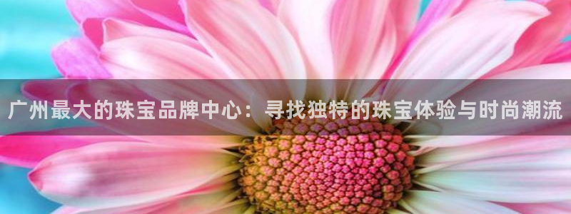 腾众娱乐的彩票靠谱吗：广州最大的珠宝品牌中心：寻找独特的珠宝