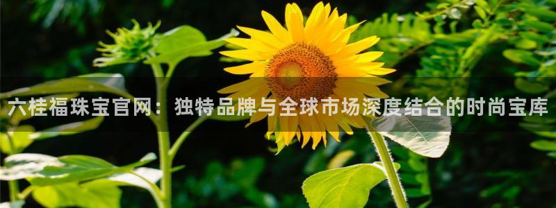 楚雄众腾娱乐在哪里：六桂福珠宝官网：独特品牌与全球市场深度结
