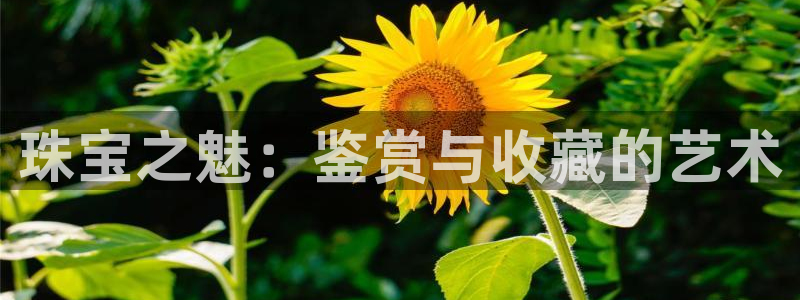 腾耀娱乐众320059