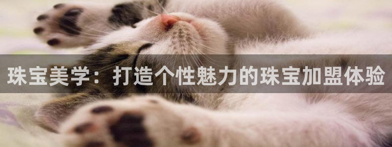 腾众娱乐：珠宝美学：打造个性魅力的珠宝加盟体验