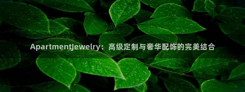 楚雄众腾娱乐：ApartmentJewelry：高级定制与奢