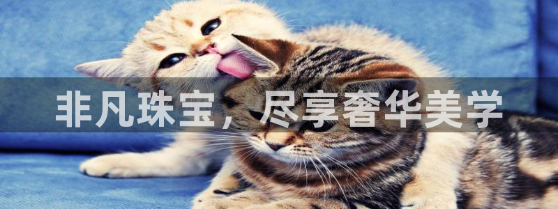 云南众腾娱乐