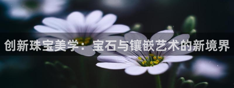 众东腾娱乐客服
