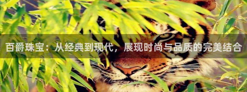 众腾娱乐登入探索无限空间：百爵珠宝：从经典到现代，展现时尚与