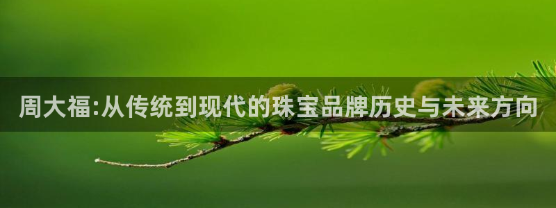 众腾娱乐平台官网入口：周大福:从传统到现代的珠宝品牌历史与未