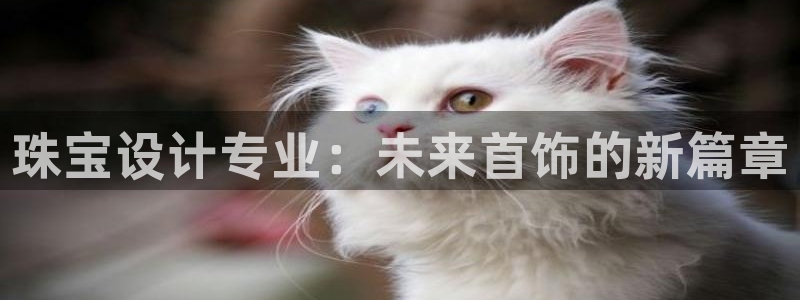 腾众娱乐是个啥