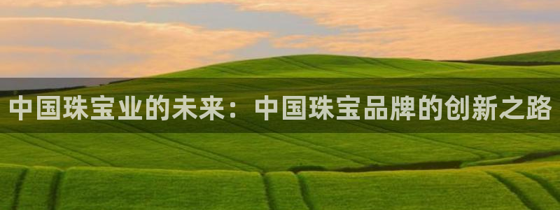 众腾娱乐平台下载：中国珠宝业的未来：中国珠宝品牌的创新之路