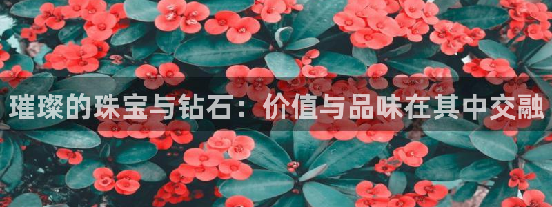 众腾娱乐集团有限公司：璀璨的珠宝与钻石：价值与品味在其中交融