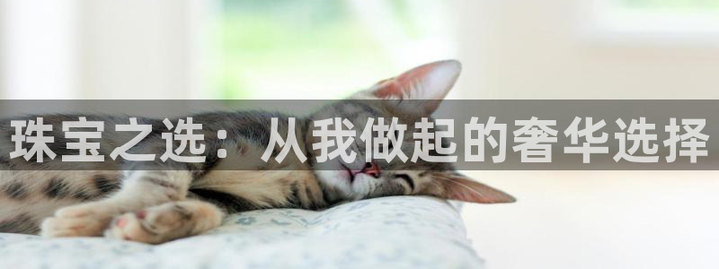 众腾娱乐集团有限公司