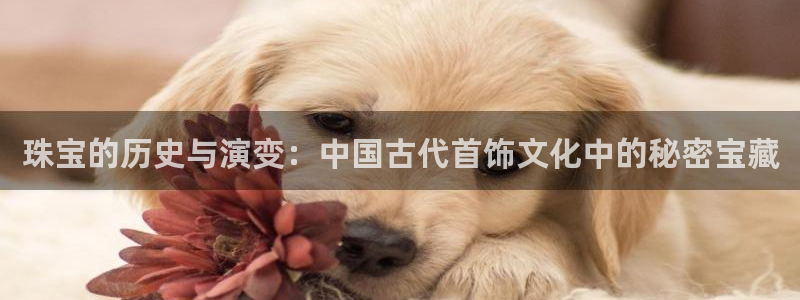 众腾娱乐博彩：珠宝的历史与演变：中国古代首饰文化中的秘密宝藏