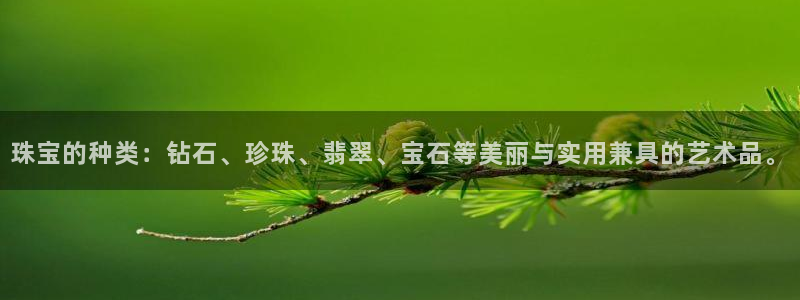 包头众腾娱乐密室逃脱：珠宝的种类：钻石、珍珠、翡翠、宝石等美