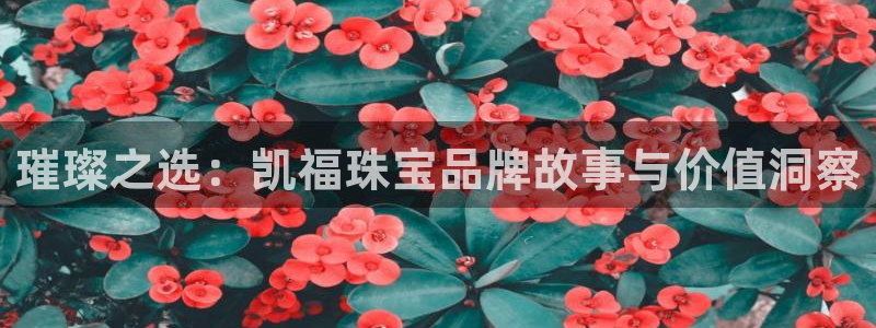包头众腾娱乐密室逃脱
