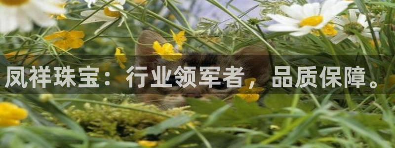 众腾娱乐蚀 7O935
