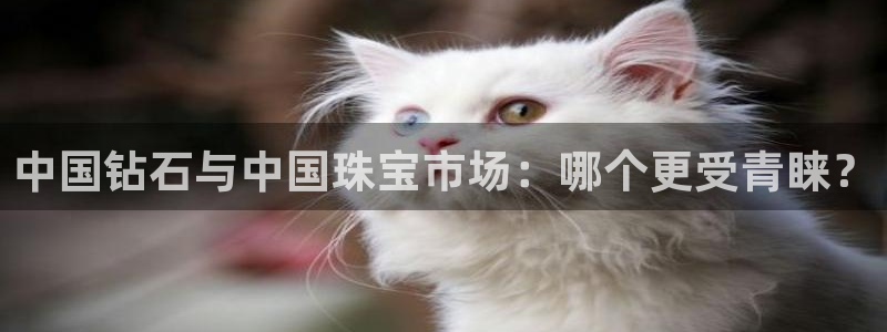 众腾娱乐登入探索无限空间