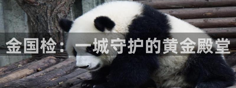 众腾娱乐平台下载