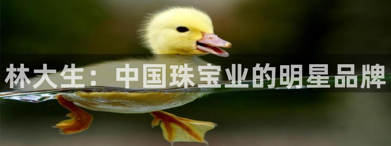 腾耀3娱乐众123