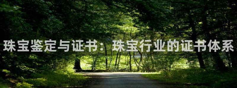 众腾娱乐文化怎么样