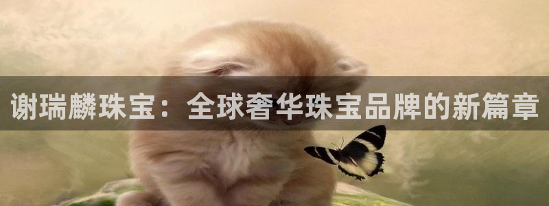 云南众腾娱乐