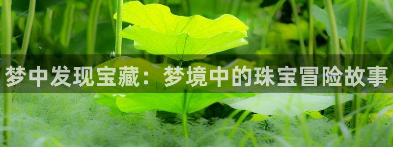 众腾娱乐总代理