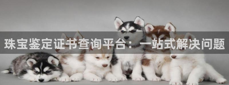 众东腾娱乐客服：珠宝鉴定证书查询平台：一站式解决问题