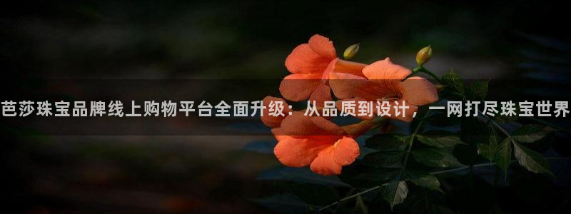 众东腾娱乐客服