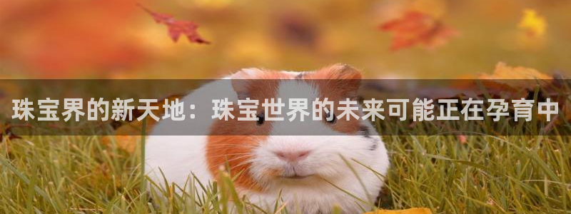 腾众娱乐的彩票靠谱吗：珠宝界的新天地：珠宝世界的未来可能正在