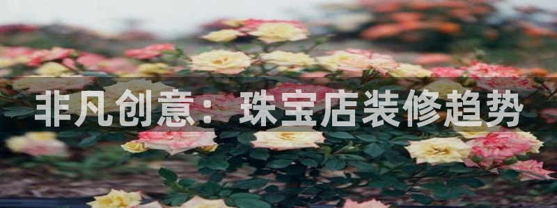 众腾娱乐登入探索无限空间：非凡创意：珠宝店装修趋势