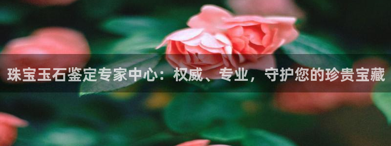 腾耀娱乐众推46996：珠宝玉石鉴定专家中心：权威、专业，守