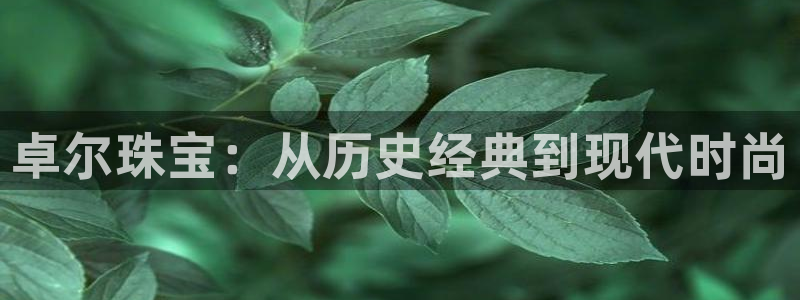 众腾娱乐登入探索无限空间
