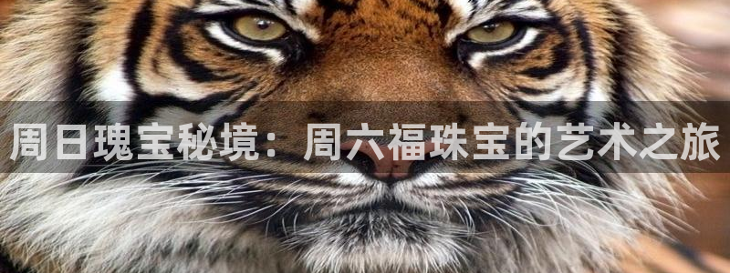 众腾娱乐登录：周日瑰宝秘境：周六福珠宝的艺术之旅