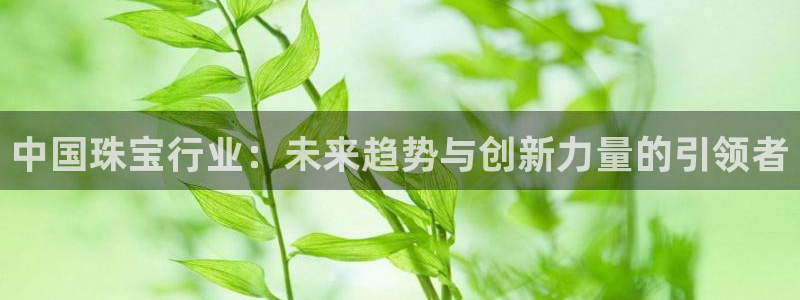 彝族自治州众腾娱乐：中国珠宝行业：未来趋势与创新力量的引领者
