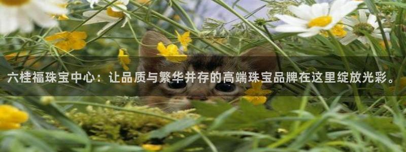 众腾娱乐蚀 7O935